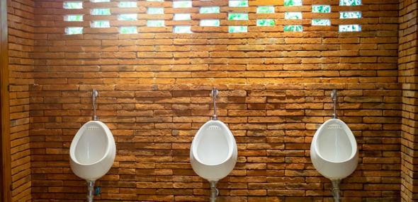 İnsan idrarından tuğla yaptılar!  - Resim: 4