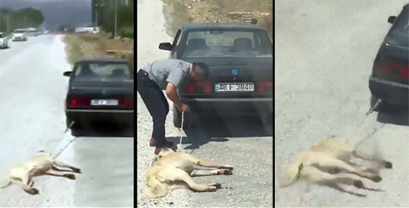 Sosyal medya ayağa kalktı: Polis her yerde onu arıyor! - Resim: 1