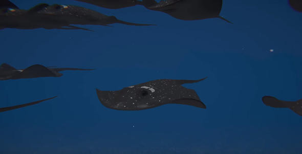 İşte TSK'nın yeni silahı: SİDA! Vatozdan farksız... - Resim: 2