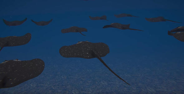 İşte TSK'nın yeni silahı: SİDA! Vatozdan farksız... - Resim: 3