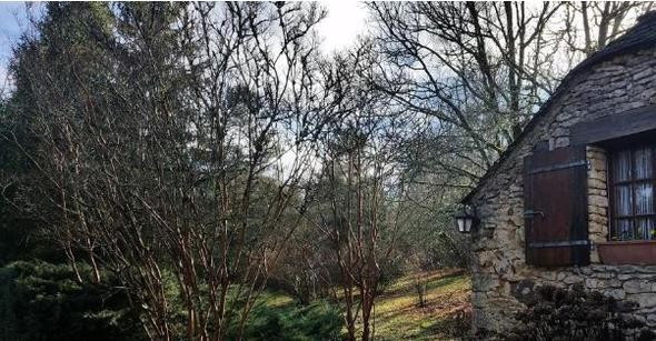 Eş değiştirmek için özel kamp açtılar bu da oldu! - Resim: 4