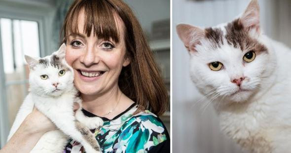 Kahraman kedi sahibini ölümden kurtardı! - Resim: 1