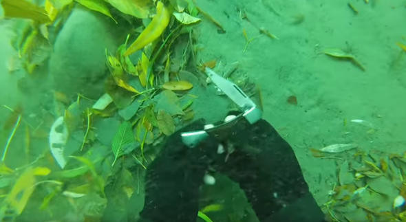 Şelalenin dibinden çıkan şeyler dalgıcı şoke etti - Resim: 3