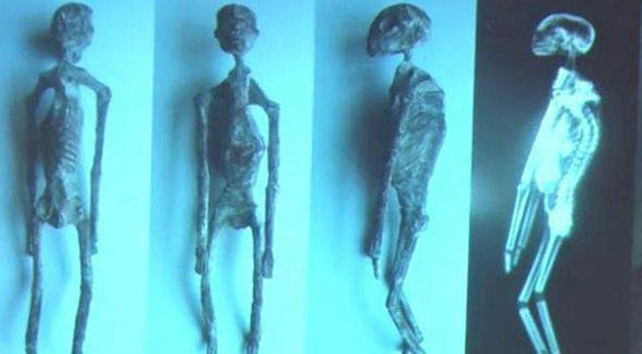 Dehşete düşüren açıklama: Bulunanlar uzaylı mı? - Resim: 1