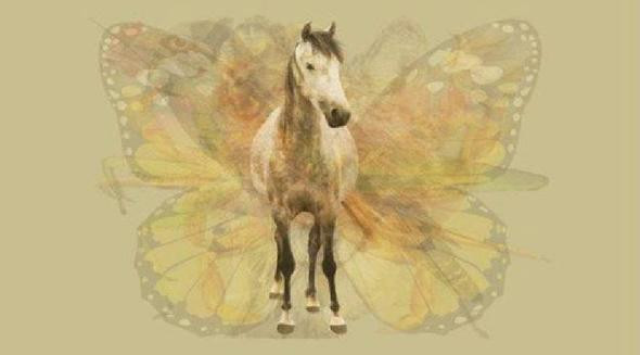 Sosyal medya bu kişilik testini konuşuyor! Resimde hangi hayvanı görüyorsunuz? - Resim: 2