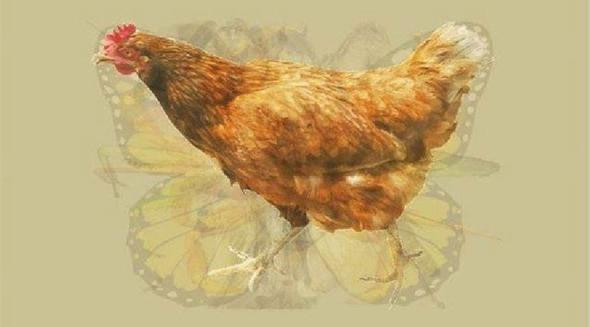 Sosyal medya bu kişilik testini konuşuyor! Resimde hangi hayvanı görüyorsunuz? - Resim: 3