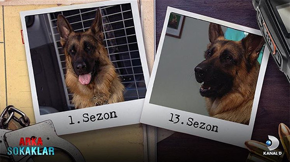 Arka Sokaklar'da 500. bölüm: İşte oyuncuların 13 yıllık değişimi! - Resim: 4