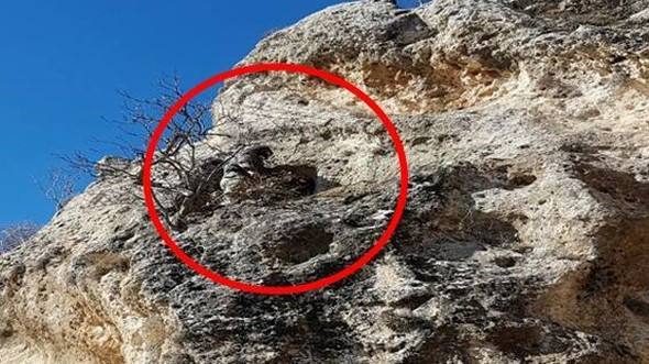 1500 asker o mağaraya girdi! İçinden çıkanlara bakın - Resim: 2