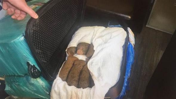 Havalimanı'nda kadın çorabından çıkanlar görenleri şok etti! - Resim: 4