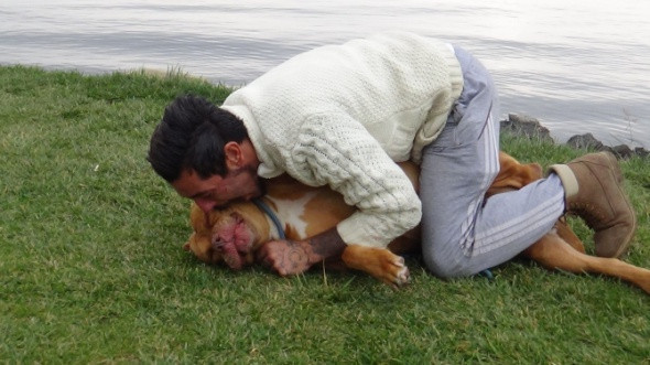 Tehlikeli değil deyip köpeğini ısırdı! - Resim: 1