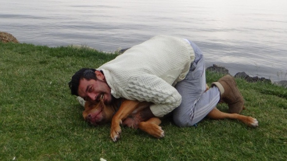 Tehlikeli değil deyip köpeğini ısırdı! - Resim: 2