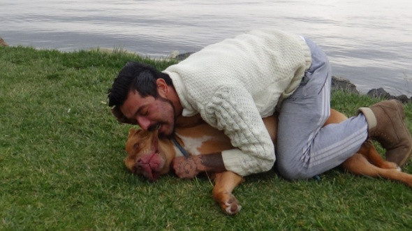 Tehlikeli değil deyip köpeğini ısırdı! - Resim: 3