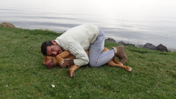 Tehlikeli değil deyip köpeğini ısırdı! - Resim: 4