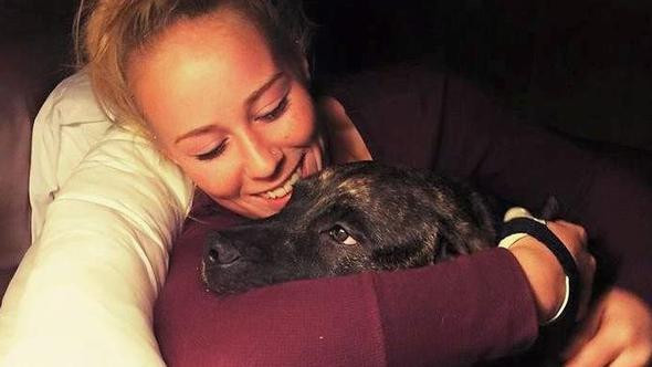 Korkunç olay! Genç kızı kendi köpekleri yedi! - Resim: 4