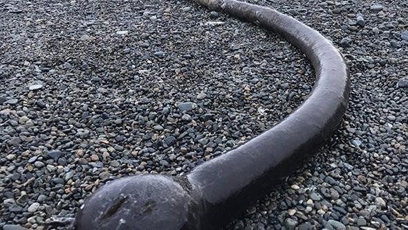 Kıyıya vurdu ne olduğu anlaşılamadı herkesi şaşkına çevirdi - Resim: 1