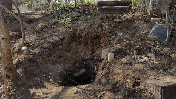 Çocuklarını alıp ormana götürdü ve öyle bir şey yaptı ki - Resim: 1