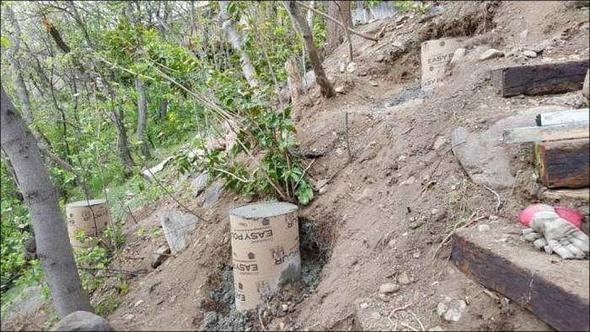 Çocuklarını alıp ormana götürdü ve öyle bir şey yaptı ki - Resim: 4