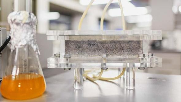 İnsan idrarından tuğla yaptılar!  - Resim: 2