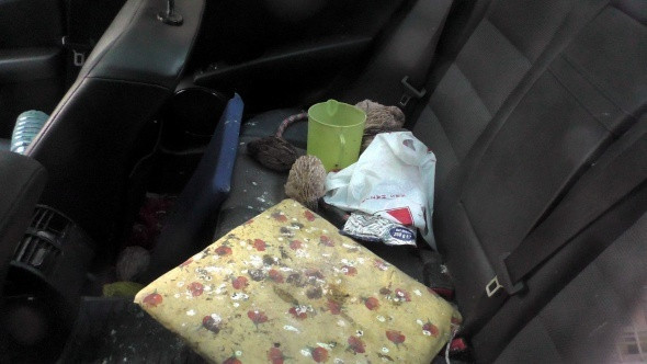 Lüks otomobilden çıktı! Korkunç manzara - Resim: 2