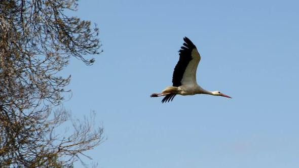 Felçli eşini 16 yıldır yalnız bırakmıyor - Resim: 4