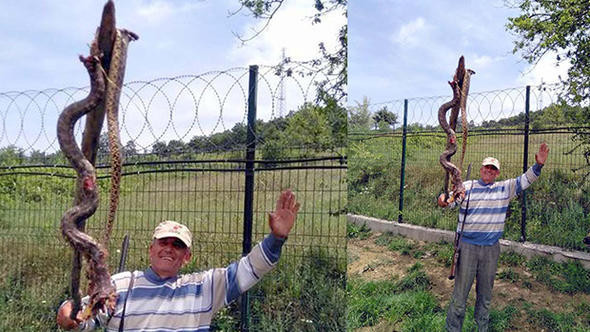 Bursa'da efsane gerçeğe dönüştü kafası kaçtı vücudu kaldı - Resim: 3