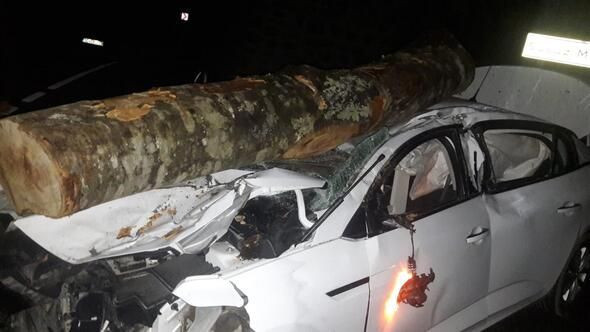 Ordu'da otomobilin üzerine tomruk düştü 3 yaralı - Resim: 1