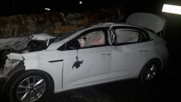 Ordu'da otomobilin üzerine tomruk düştü 3 yaralı - Resim: 2