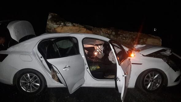 Ordu'da otomobilin üzerine tomruk düştü 3 yaralı - Resim: 4