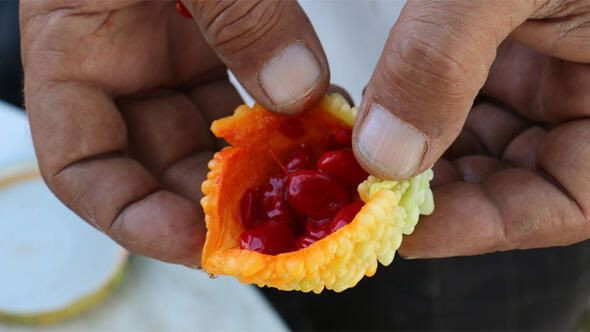 İlaç niyetine kullanılıyor! Hastalara ücretsiz dağıtıyor - Resim: 4