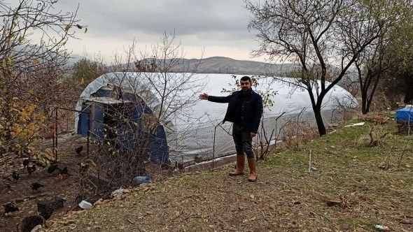 İşsiz kalınca gezen tavuk çiftliği kurdu siparişlere yetişemiyor - Resim: 1