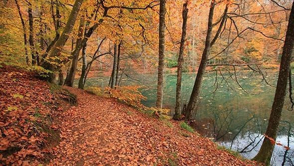 Jüriler belirledi...En iyi sonbahar fotoğrafları buradan çıkıyor - Resim: 1