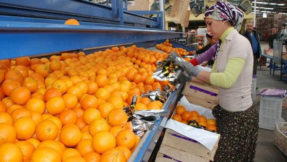 Türkiye'nin en çok ihracat yaptığı 20 ülke - Resim: 3