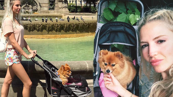 Herkes pusette bebek gezdirdi, o köpeğini!  - Resim: 1