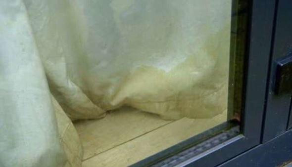 Yotube fenomeni rezil oldu! - Resim: 2