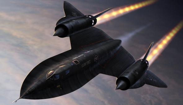 Yıllarca uyuyor hiçbir şey yemiyor onu her gün görüyorsunuz - Resim: 4