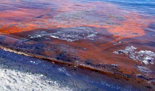 Marmara Denizi turuncuya boyandı - Resim: 1