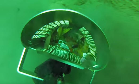 Şelalenin dibinden çıkan şeyler dalgıcı şoke etti - Resim: 4