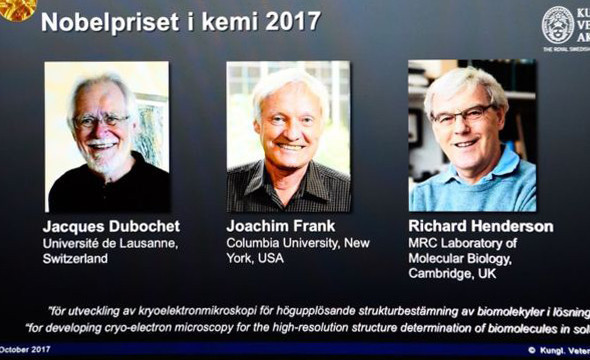Nobel Kimya Ödülü'nü kazananlar belli oldu - Resim: 1