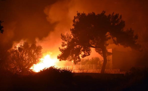 Bodrum'da korku dolu anlar - Resim: 1