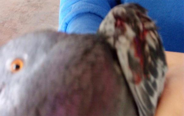 Fabrika müdürü böyle görüntülendi! Soruşturma... - Resim: 3