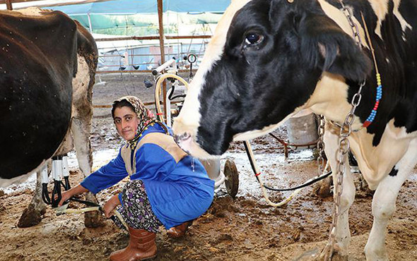 4 bilezikle 1 milyon liralık servete ulaştı! - Resim: 1