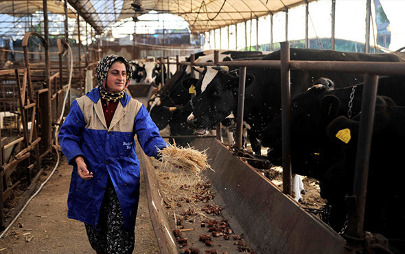 4 bilezikle 1 milyon liralık servete ulaştı! - Resim: 3