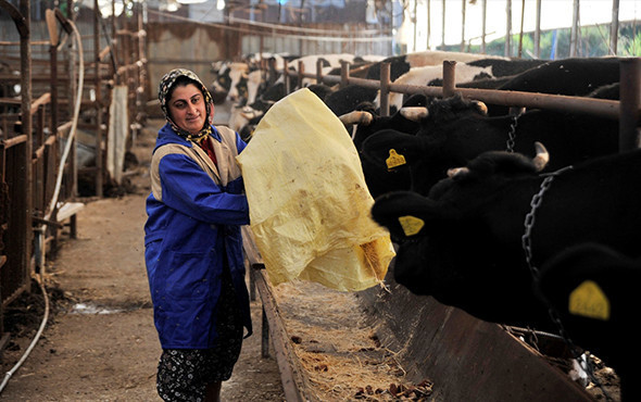 4 bilezikle 1 milyon liralık servete ulaştı! - Resim: 4