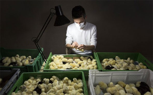 İki Türk yurt dışında bu işi yapıp ayda 32 bin lira alacak! - Resim: 2