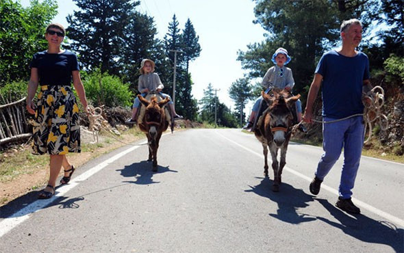 Avustralya'dan geldi, eşeklerle turist gezdiriyor! - Resim: 2