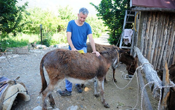 Avustralya'dan geldi, eşeklerle turist gezdiriyor! - Resim: 4