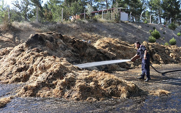 Denizli'de seyir halindeki kamyon alev alev yandı! - Resim: 4