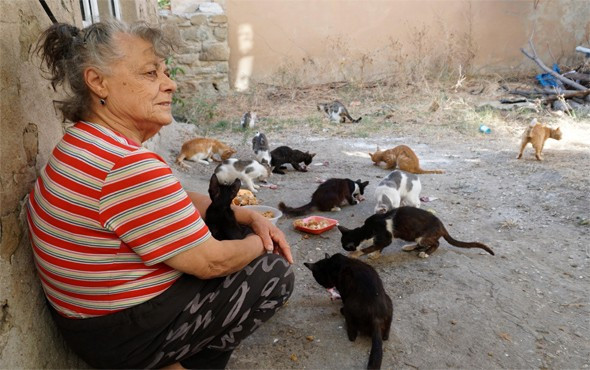 Emekli maaşıyla hasta oğlu ve 100 kediye bakıyor - Resim: 1