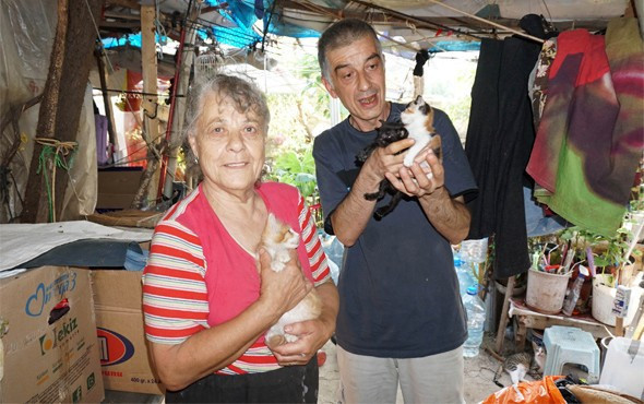 Emekli maaşıyla hasta oğlu ve 100 kediye bakıyor - Resim: 2