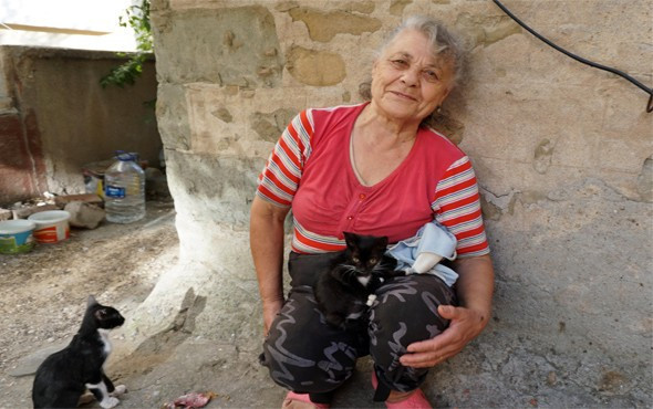 Emekli maaşıyla hasta oğlu ve 100 kediye bakıyor - Resim: 4